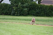 OTFL Gallery Image